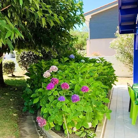 Dom wakacyjny Grande Maison A Avec Veranda Et Jardin Pour 10 Personnes - Fr-1-239-1102 *